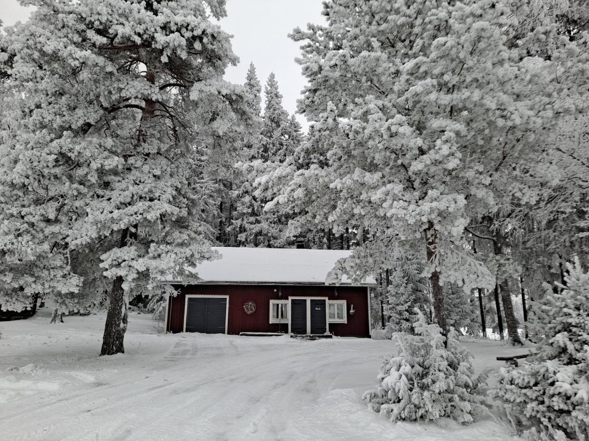 Levomaeki Farm Cottages Ypaja Экстерьер фото