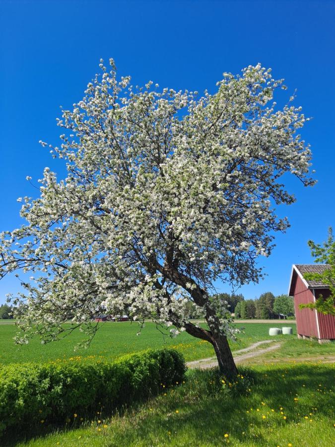 Levomaeki Farm Cottages Ypaja Экстерьер фото