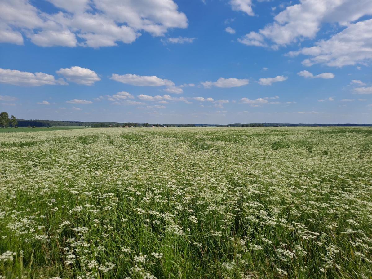 Levomaeki Farm Cottages Ypaja Экстерьер фото